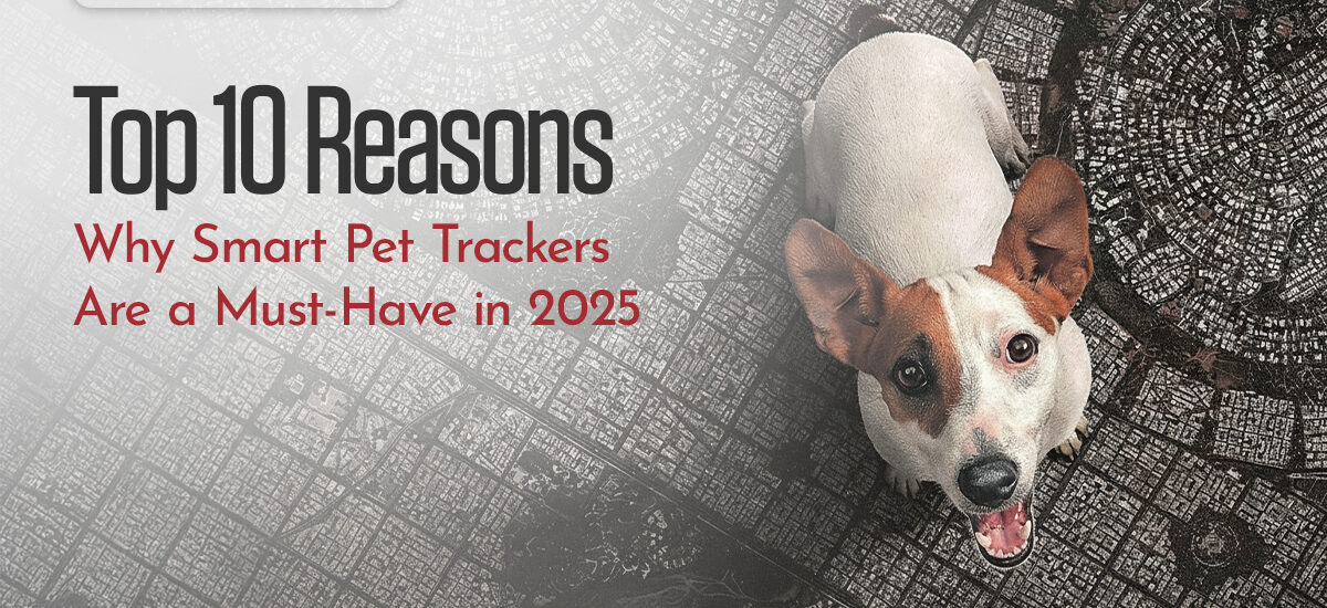 Pet Tracker in Pakistan
